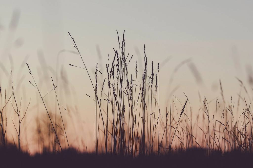 Field to vessel